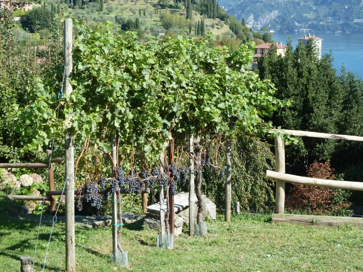 Bellagio Il Crotto Villa Exteriör bild