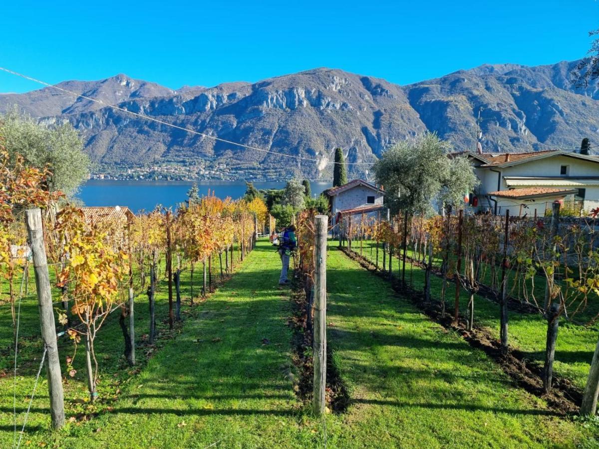 Bellagio Il Crotto Villa Exteriör bild