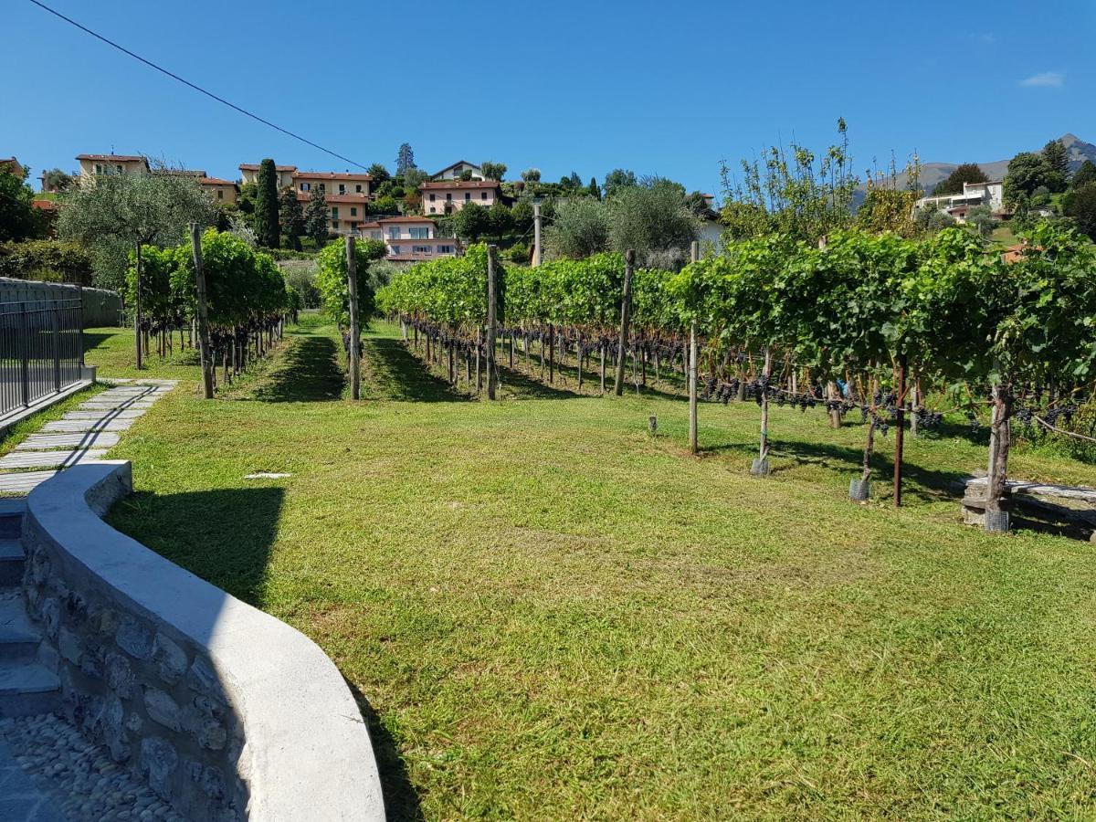 Bellagio Il Crotto Villa Exteriör bild