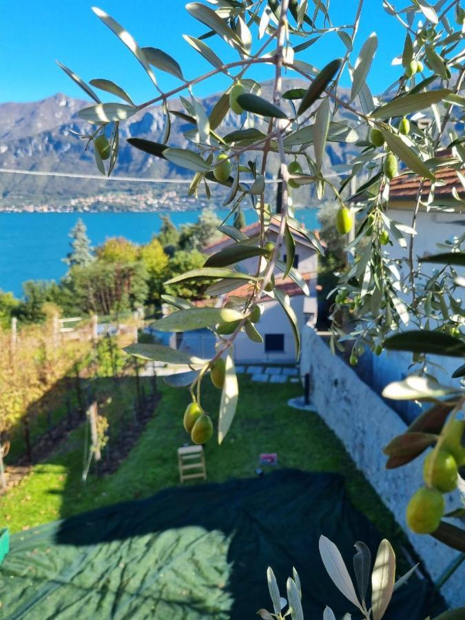 Bellagio Il Crotto Villa Exteriör bild